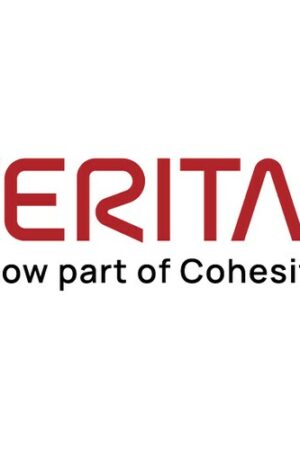 PART STD 24MO INIT NBU APPL 5340HA 600TB W 4TB DRV 4X1G CORP 19719-M1-71